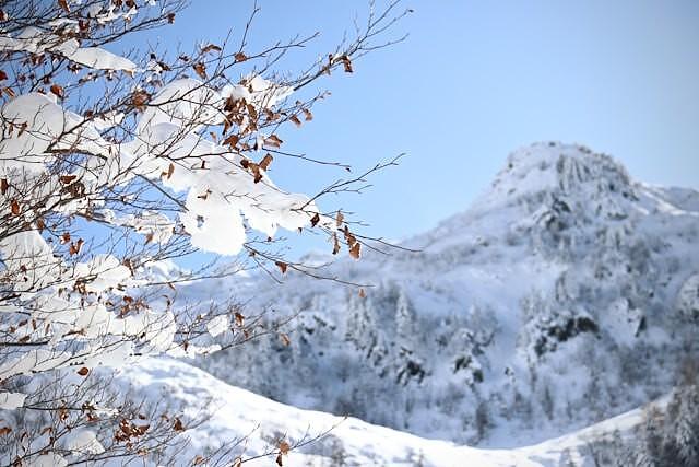 Как да се предпазим от лавина?